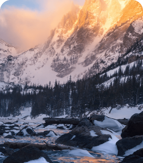 alisha-hieb-364474-unsplash